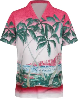 WDIRARA Men's Button Up Short Sleeve Cat Print Beachwear Striped Pocket Hawaiian Shirt Casual Collar Top